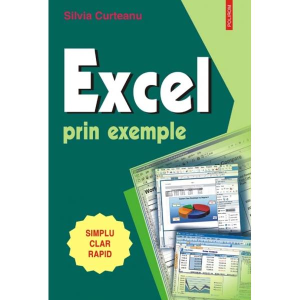 Excel prin exemple - Silvia Curteanu