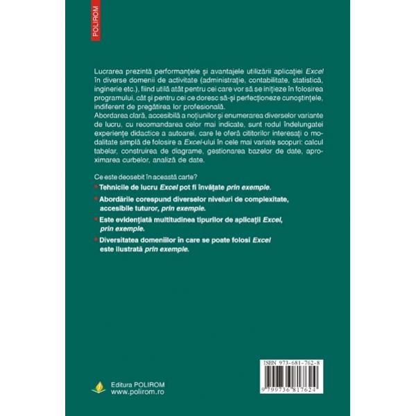 Excel prin exemple - Silvia Curteanu