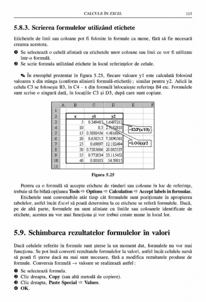 Coperta cărții 'Excel prin exemple - Silvia Curteanu'