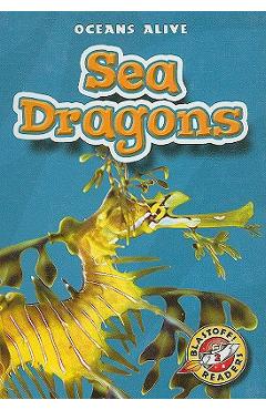 Coperta cărții 'Sea Dragons - David Schach'