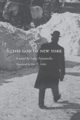 The God of New York - Luigi Fontanella