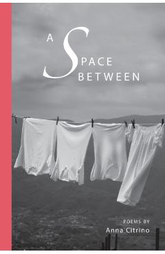 A Space Between - Anna Citrino
