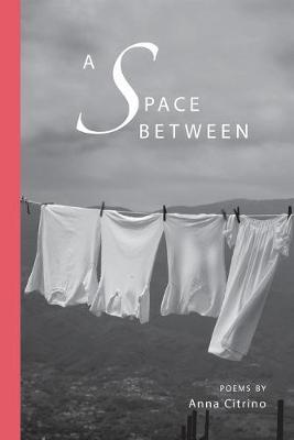 A Space Between - Anna Citrino