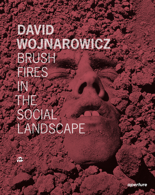 David Wojnarowicz: Brush Fires in the Social Landscape: Twentieth Anniversary Edition - David Wojnarowicz