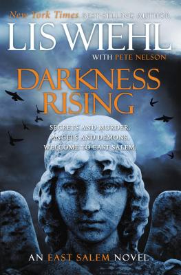 Darkness Rising - Lis Wiehl