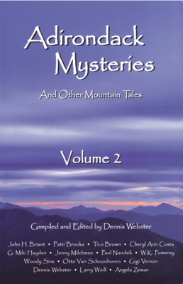 Adirondack Mysteries: And Other Mountain Tales - Dennis Webster