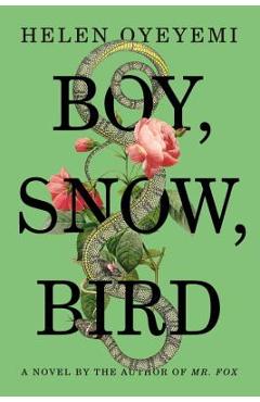 Coperta cărții 'Boy, Snow, Bird - Helen Oyeyemi'