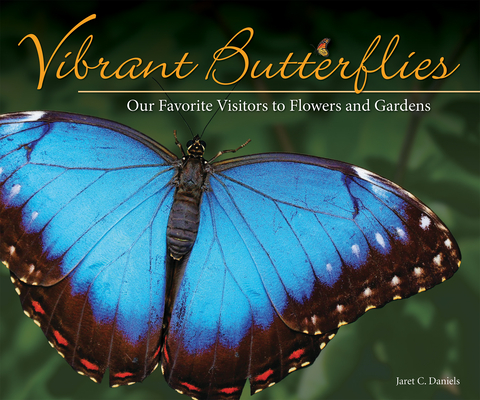 Vibrant Butterflies: Our Favorite Visitors to Flowers and Gardens - Jaret C. Daniels