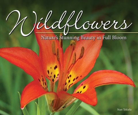 Wildflowers: Nature's Stunning Beauty on Display - Stan Tekiela