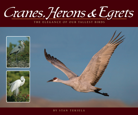 Cranes, Herons & Egrets: The Elegance of Our Tallest Birds - Stan Tekiela