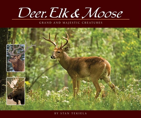 Deer, Elk & Moose: Grand and Majestic Creatures - Stan Tekiela