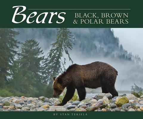 Bears: Black, Brown & Polar Bears - Stan Tekiela