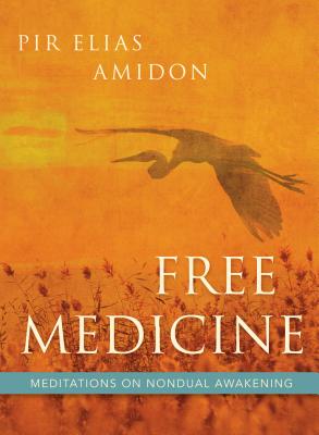 Free Medicine: Meditations on Nondual Awakening - Elias Amidon