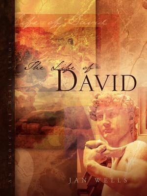 The Life of David - Jan Wells