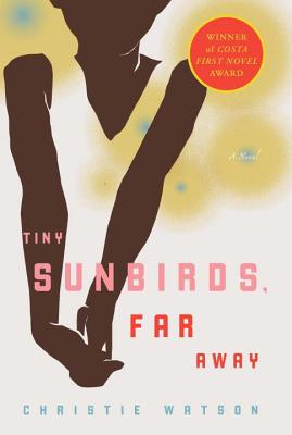 Tiny Sunbirds, Far Away - Christie Watson