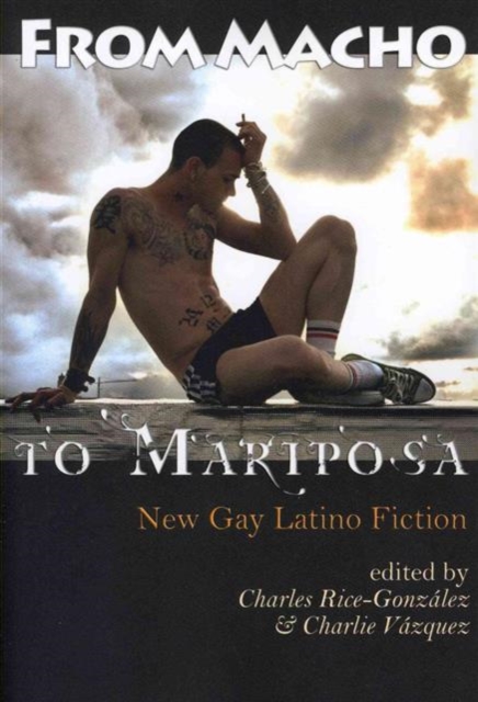 From Macho to Mariposa: New Gay Latino Fiction - Charles Rice-gonzalez