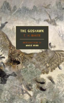 Coperta cărții 'The Goshawk - T. H. White'