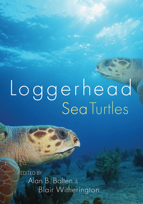 Loggerhead Sea Turtles - Alan B. Bolten