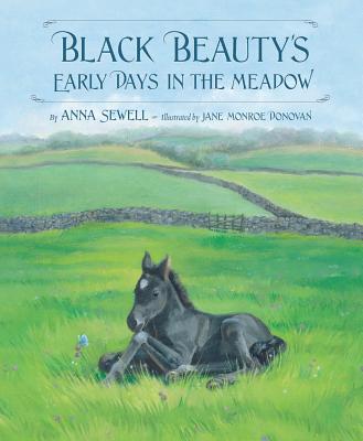 Black Beauty's Early Days in the Meadow - Anna Sewell