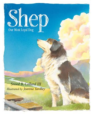 Shep: Our Most Loyal Dog - Sneed B. Collard