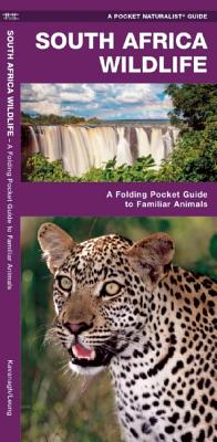 South Africa Wildlife: A Folding Pocket Guide to Familiar Animals in the South African Region - James Kavanagh