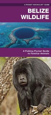 Belize Wildlife: A Folding Pocket Guide to Familiar Species - James Kavanagh