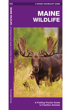 Poza produsului Maine Wildlife: A Folding Pocket Guide to Familiar Species - James Kavanagh