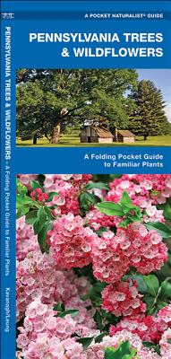 Pennsylvania Trees & Wildflowers: A Folding Pocket Guide to Familiar Plants - James Kavanagh