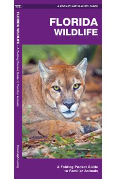 Coperta cărții 'Florida Wildlife: An Introduction to Familiar Species - James Kavanagh'