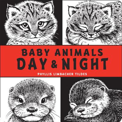 Baby Animals Day & Night - Phyllis Limbacher Tildes