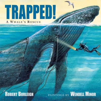Trapped! a Whale's Rescue - Robert Burleigh