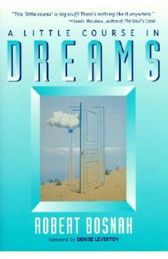 Coperta cărții 'A Little Course in Dreams - Robert Bosnak'