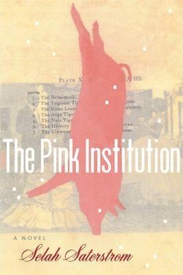 The Pink Institution - Selah Saterstrom