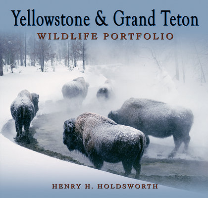 Yellowstone & Grand Teton Wildlife Portfolio (Sc) - Dennis Linnehan