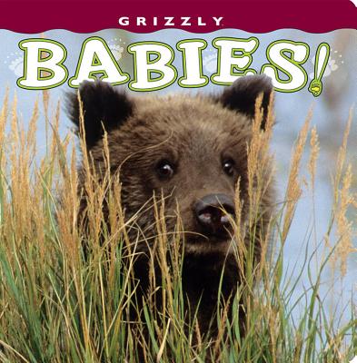 Grizzly Babies! - Henry H. Holdsworth