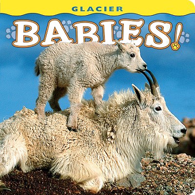 Glacier Babies! - Wendy Shattil