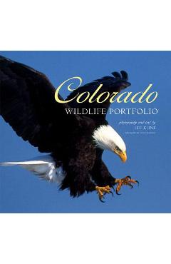 Colorado Wildlife Portfolio