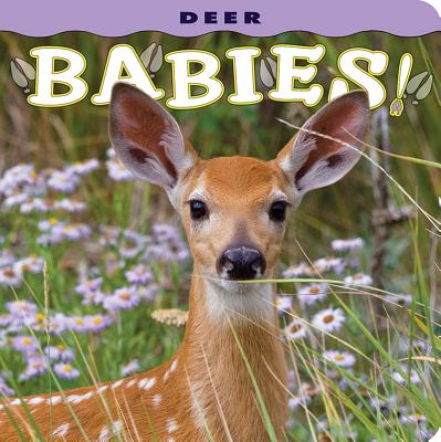 Deer Babies! - Donald M. Jones