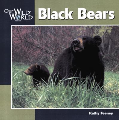 Black Bear - Kathy Feeney