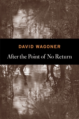 After the Point of No Return - David Wagoner