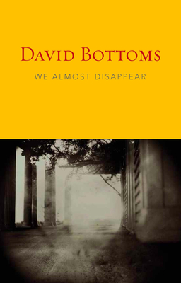 We Almost Disappear - David Bottoms