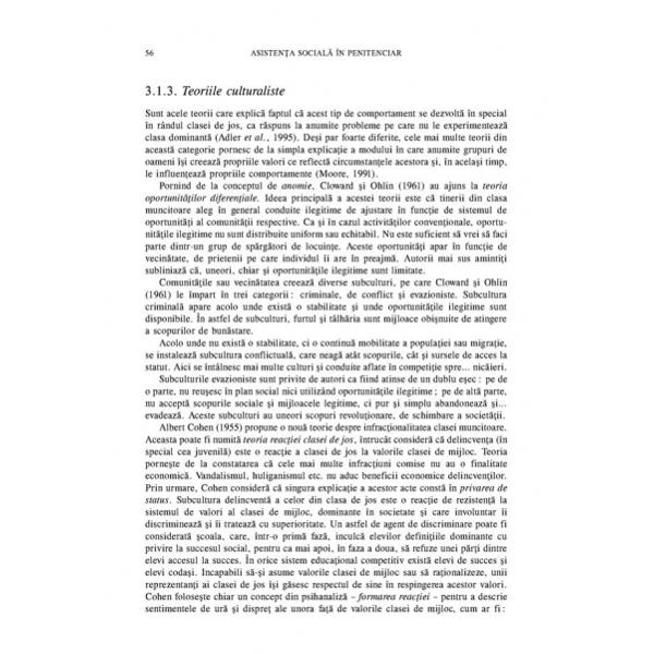 Asistenta sociala in penitenciar - Ioan Durnescu