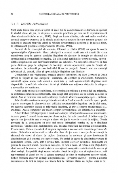 Coperta cărții 'Asistenta sociala in penitenciar - Ioan Durnescu'