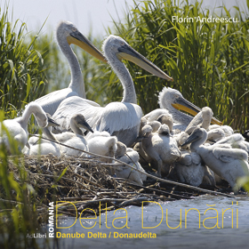 Coperta cărții 'Romania - Delta dunarii - Florin Andreescu'