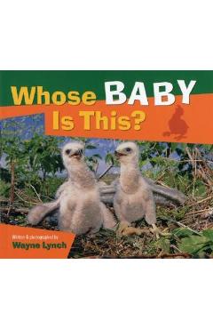 Poza produsului Whose Baby Is This? - Wayne Lynch