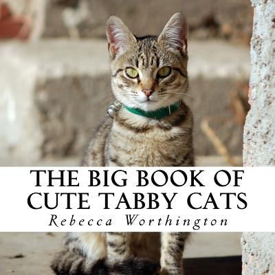 The Big Book of Cute Tabby Cats: A text-free book for Seniors and Alzheimer's patients - Rebecca Worthington