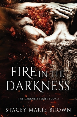 Fire in the Darkness - Stacey Marie Brown