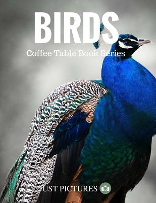 Birds: Coffee Table Book Series - Just Pictures