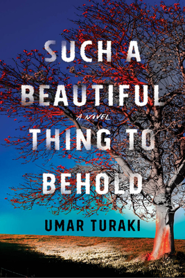 Such a Beautiful Thing to Behold - Umar Turaki