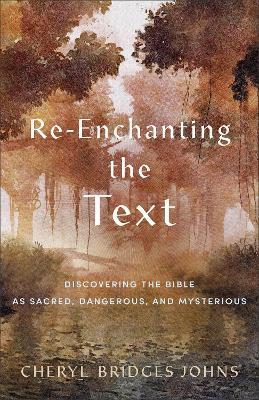 Re-Enchanting the Text: Discovering the Bible as Sacred, Dangerous, and Mysterious - Cheryl Bridges Johns
